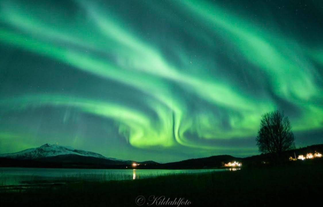 شقة Visit Leif At Senja Gibostad المظهر الخارجي الصورة